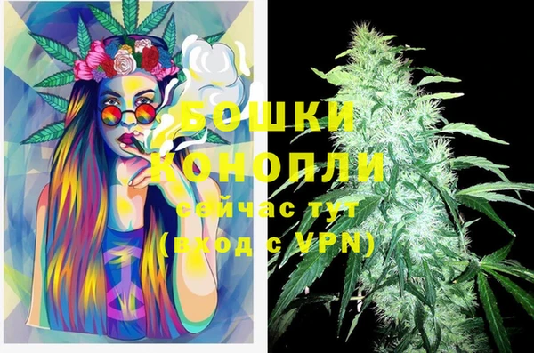 спайс Козельск