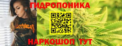 гашик Моздок