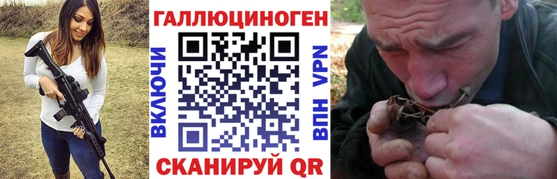 Купить  Карпинск  Галлюциногенные грибы Psilocybine cubensis 