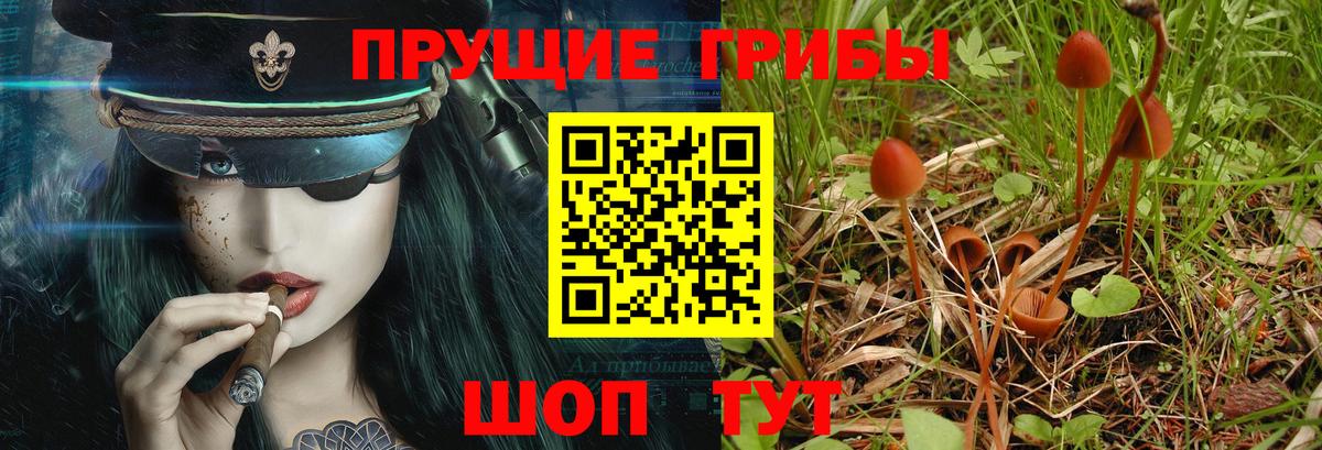 Псилоцибиновые грибы мухоморы  Карпинск 