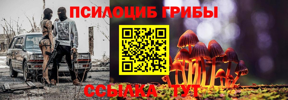 Карпинск  Галлюциногенные грибы мицелий  Вход с VPN 